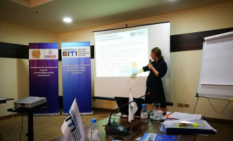 Dyveke Rogan՛s workshop for Armenia’s EITI MSG members